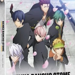 FUNIMATION/CRUNCHYROLL Kenka Bancho Otome Girl Beats Boys Blu-ray/DVD