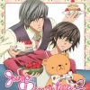 NOZOMI ENTERTAINMENT Junjo Romantica Season 2 Blu-ray -Outlet Blu-ray Store 742617171222 anime junjo romantica season 2 blu ray primary