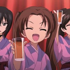 SENTAI FILMWORKS Girls Und Panzer Complete OVA Collection Blu-ray 12 SENTAI FILMWORKS Girls Und Panzer Complete OVA Collection Blu-ray -Outlet Blu-ray Store 814131017048 anime girls und panzer complete ova collection blu ray altd