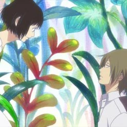 SENTAI FILMWORKS Natsuyuki Rendezvous Blu-ray -Outlet Blu-ray Store 814131018151 anime natsuyuki rendezvous blu ray altd