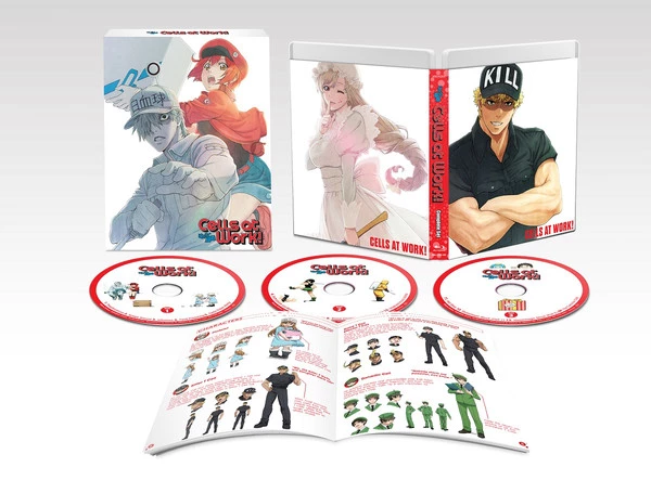 ANIPLEX OF AMERICA Cells At Work! Blu-ray 4 ANIPLEX OF AMERICA Cells At Work! Blu-ray - Image 2