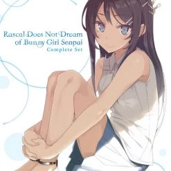 ANIPLEX OF AMERICA Rascal Does Not Dream Of Bunny Girl Senpai Blu-ray