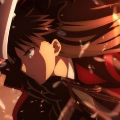 ANIPLEX OF AMERICA Fate/Stay Night Heaven's Feel II. Lost Butterfly Blu-ray -Outlet Blu-ray Store 816546022112 anime fate stay night heavens feel II lost butterfly blu ray altg