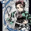 ANIPLEX OF AMERICA Demon Slayer Kimetsu No Yaiba Volume 1 Limited Edition Blu-ray -Outlet Blu-ray Store 8165460227540 anime demon slayer kimetsu no yaiba volume 1 limited edition blu ray primary