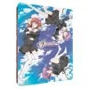 SENTAI FILMWORKS Ef A Tale Of Memories & Melodies Steelbook Blu-ray -Outlet Blu-ray Store 816726027739 anime ef a tale of memories and melodies steelbook blu ray primary