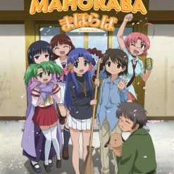 DISCOTEK Mahoraba Heartful Days Blu-ray