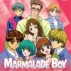 DISCOTEK Marmalade Boy Complete Collection Blu-Ray 2 DISCOTEK Marmalade Boy Complete Collection Blu-Ray -Outlet Blu-ray Store 875707177092 anime marmalade boy bd primary